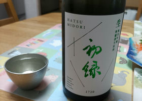 alt 3