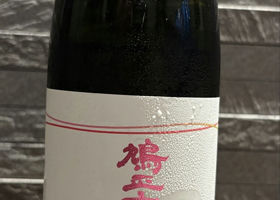 alt 1
