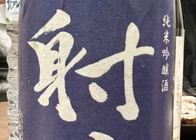 alt 1
