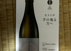alt 3