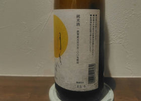 alt 3