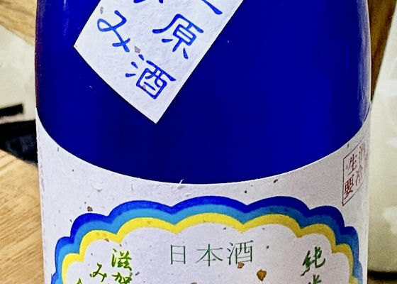 alt 1
