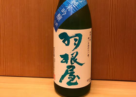 alt 1