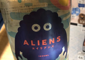 alt 1