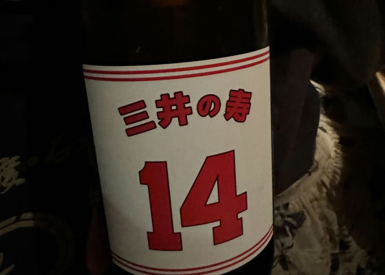 alt 1