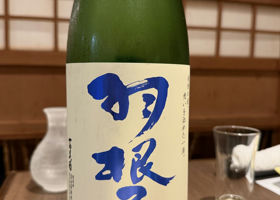 alt 2