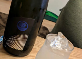 alt 1