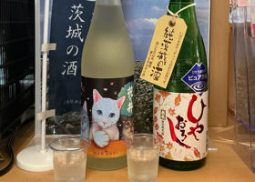 花の井 チェックイン 1