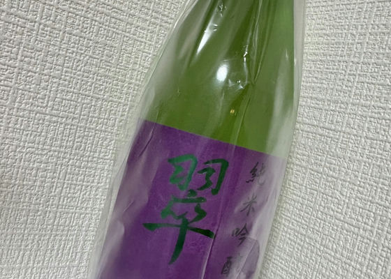 alt 1