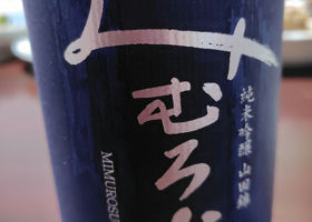 alt 3