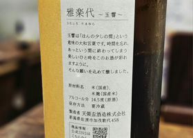 alt 3
