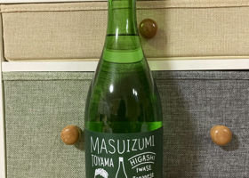 Masuizumi Check-in 1