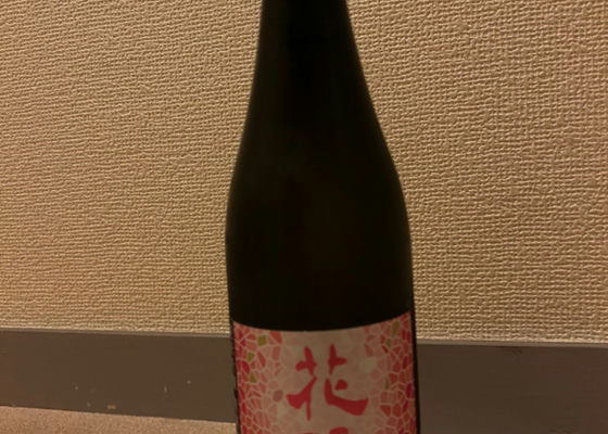 alt 1