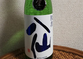 alt 1