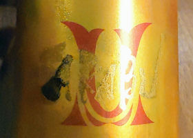 alt 1
