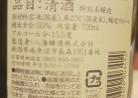 alt 3
