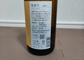 alt 3