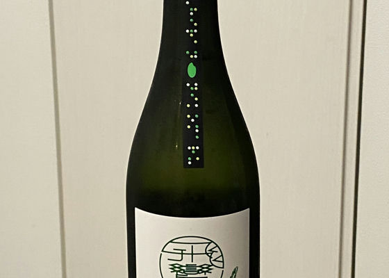 alt 1