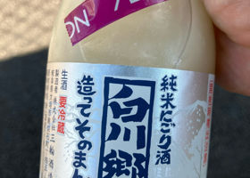 alt 1