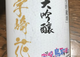 alt 1