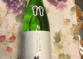 alt 1