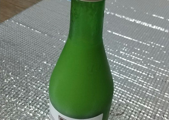 alt 1
