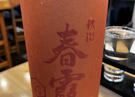 alt 1