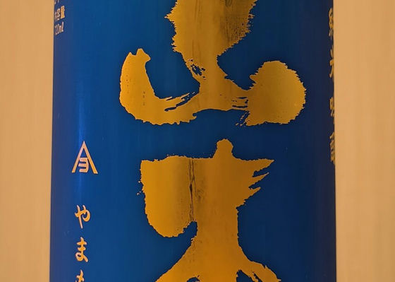alt 1