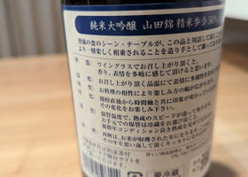 alt 3