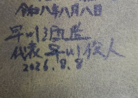 alt 3