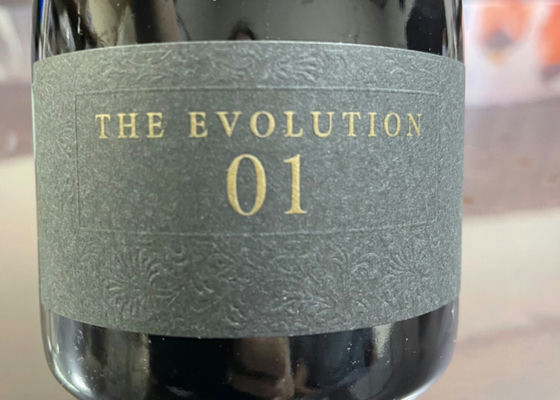 THE EVOLUTION 01 チェックイン 1