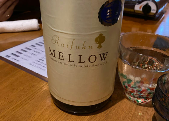 MELLOW Check-in 1