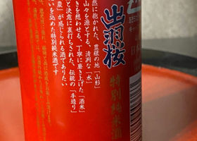 alt 3