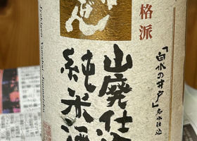 alt 1