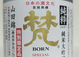 Born 签到 1