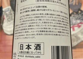 alt 3