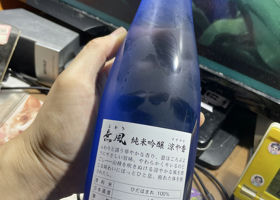 alt 3