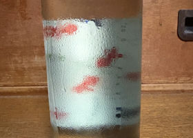 alt 3