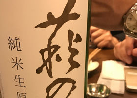 alt 1