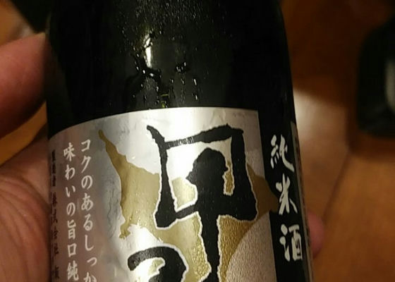 alt 1