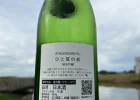 alt 3