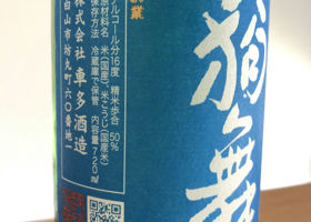alt 2