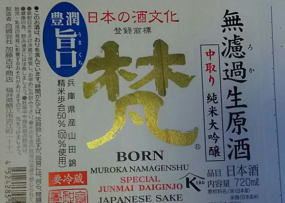 Born 签到 1