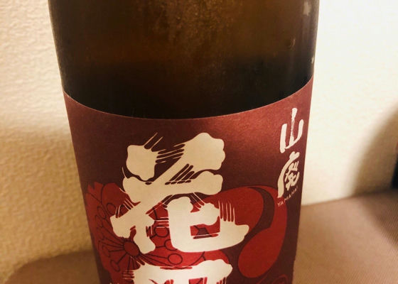 alt 1