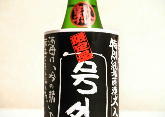 alt 1