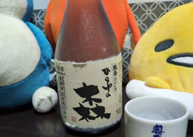 ひらゆの森 チェックイン 1