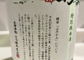alt 2