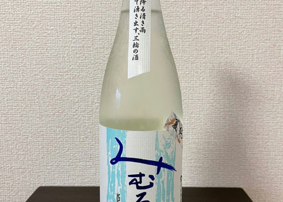 alt 1