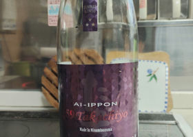 alt 1