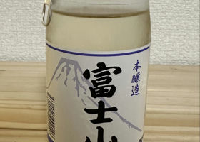 alt 1
